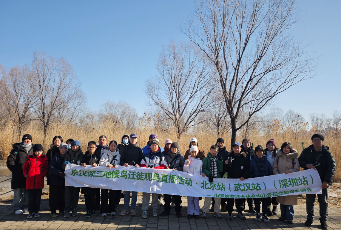 7000人共赴候鸟之约——京汉深三地观鸟直播打造沉浸式自然课堂